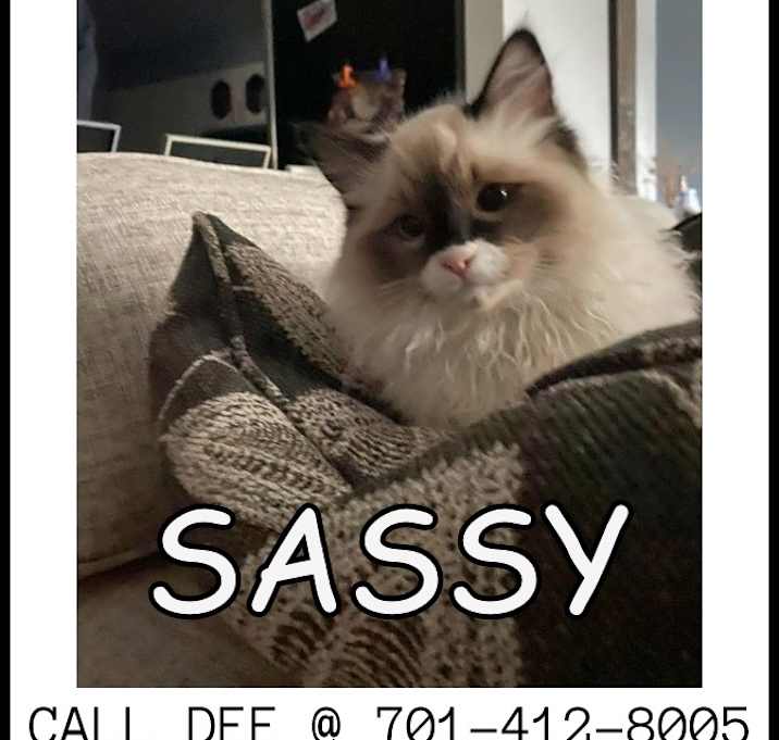 Photo of Sassy - COURTESY LISTING
