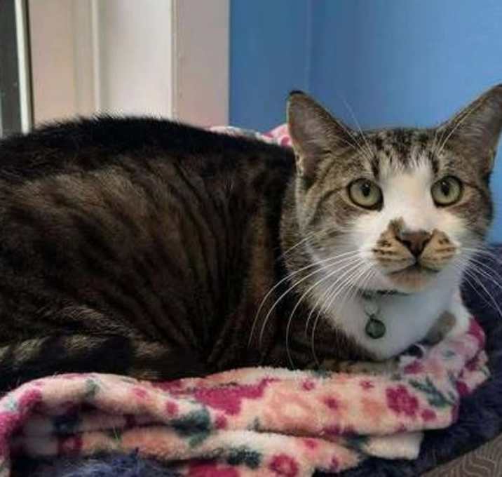 Photo of Samson