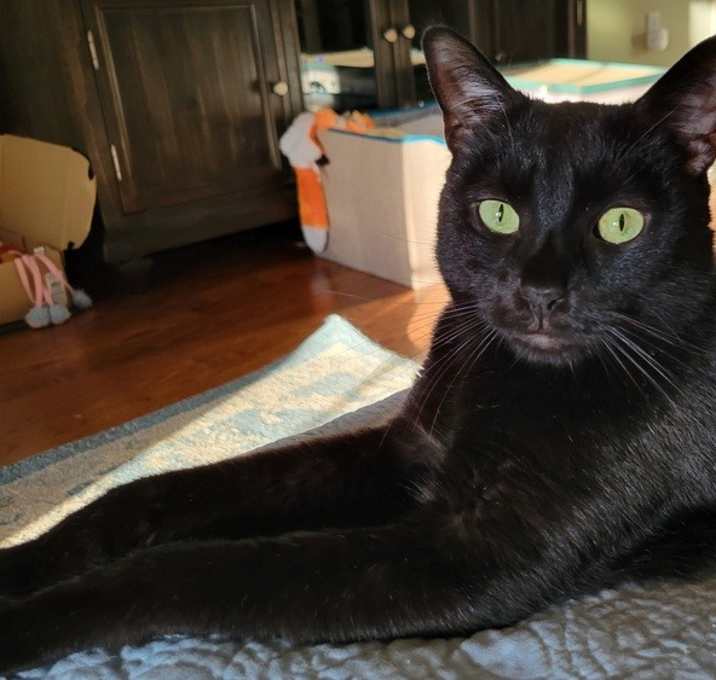 Photo of Lenny