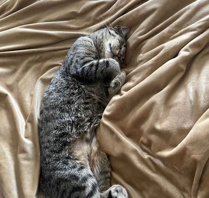 Photo of Selah