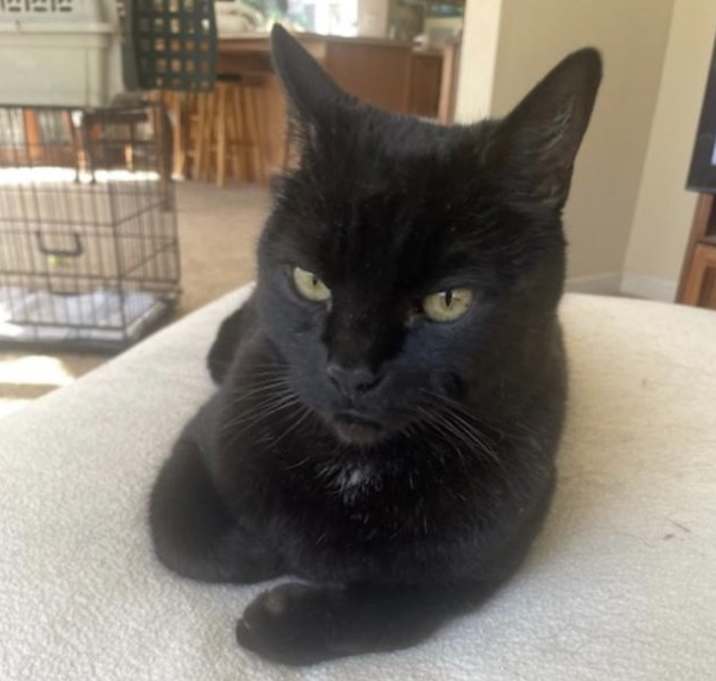Photo of Big Boy