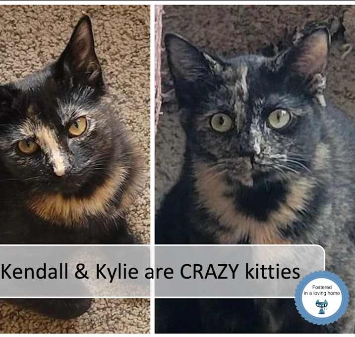 Photo of Kendall & Kylie