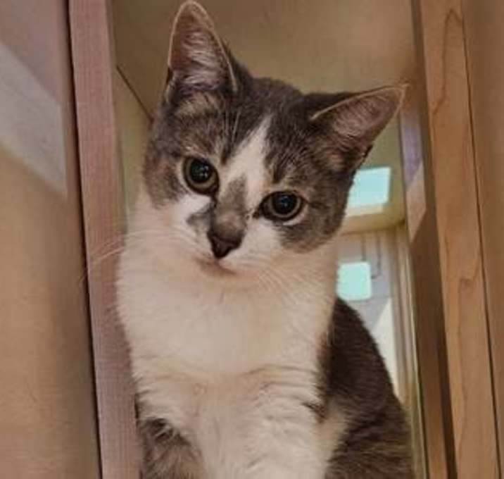 Photo of Ernest