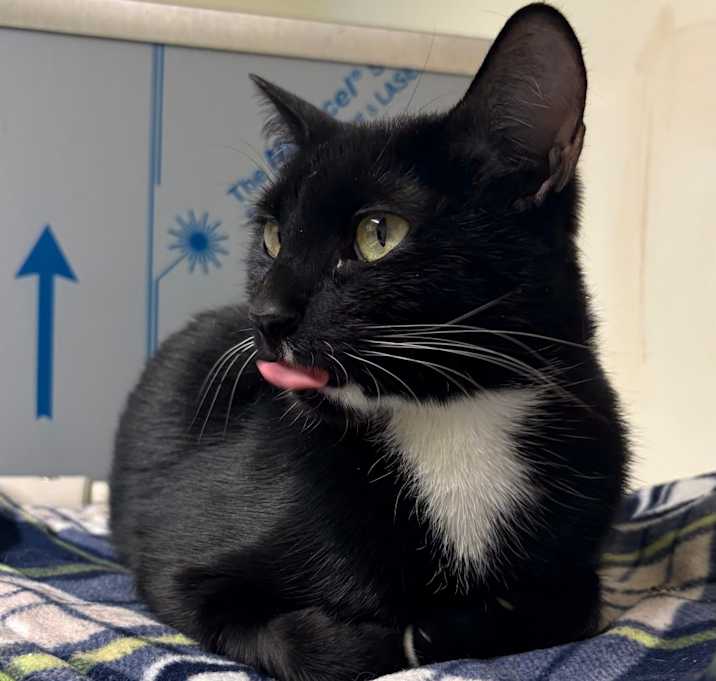 Photo of Holly