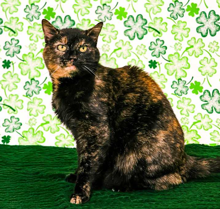 Photo of Hazel