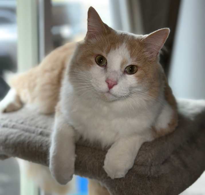Photo of Milo