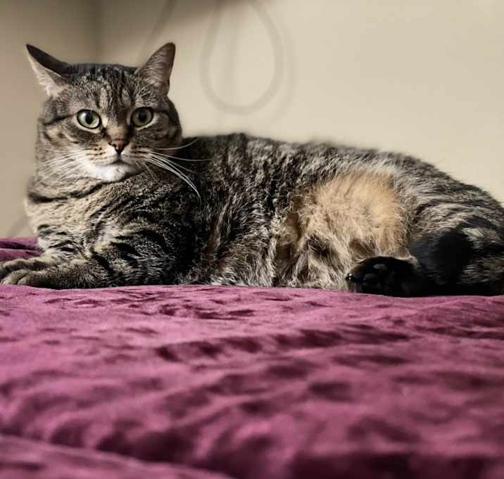 Photo of Fiona