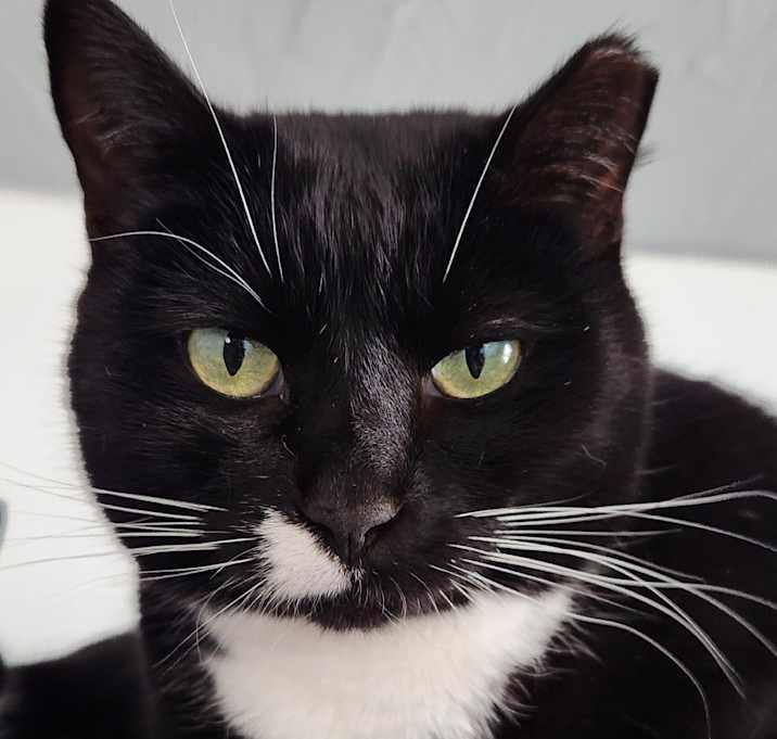 Photo of Marcie