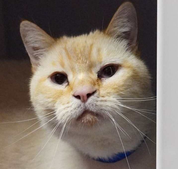 Photo of Jasper