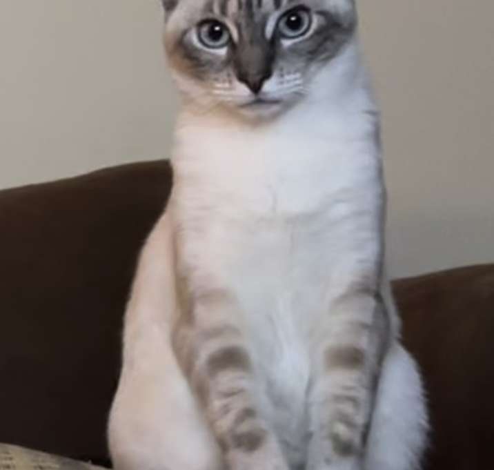 Photo of Miss Peace