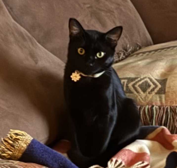 Photo of Miss Joy