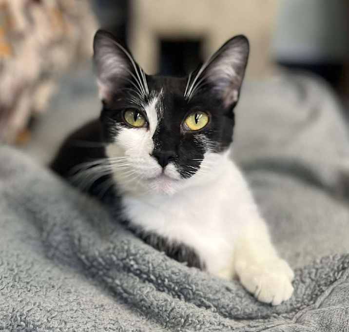 Photo of Widget