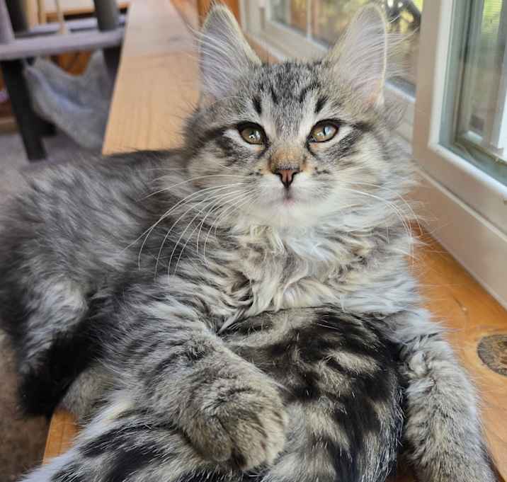 Photo of Eleanor