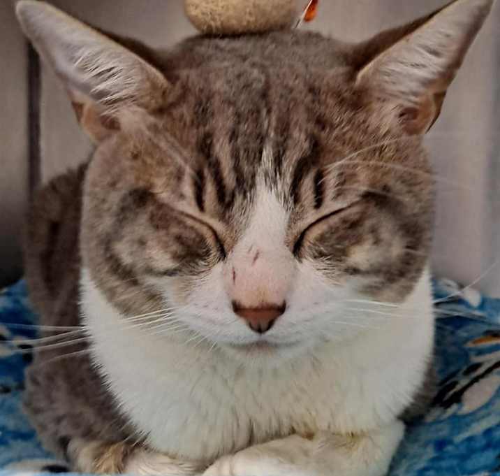 Photo of Marcus