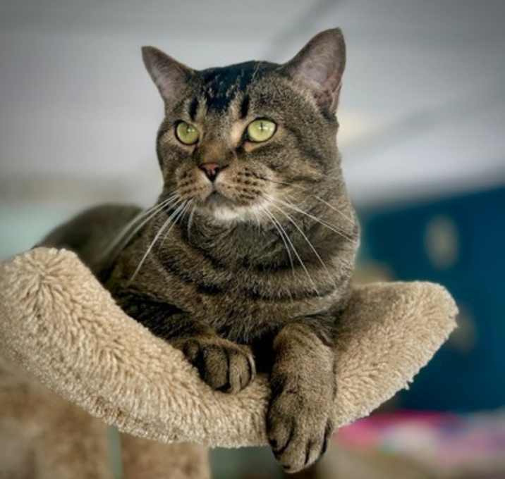 Photo of Sparky