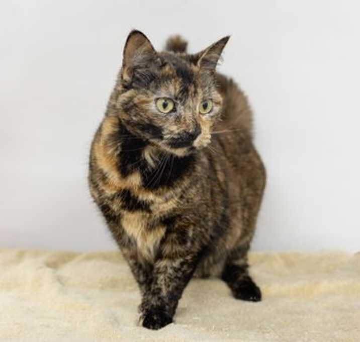 Photo of Mindy