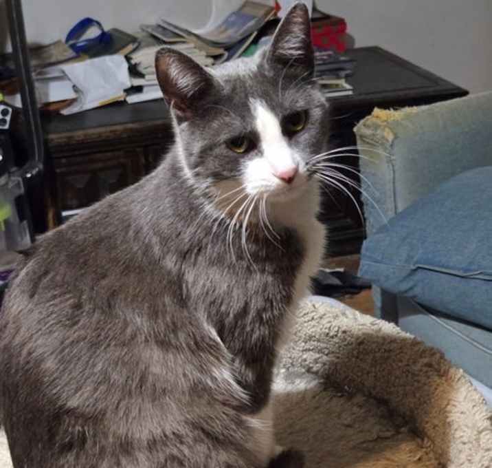 Photo of Marbles