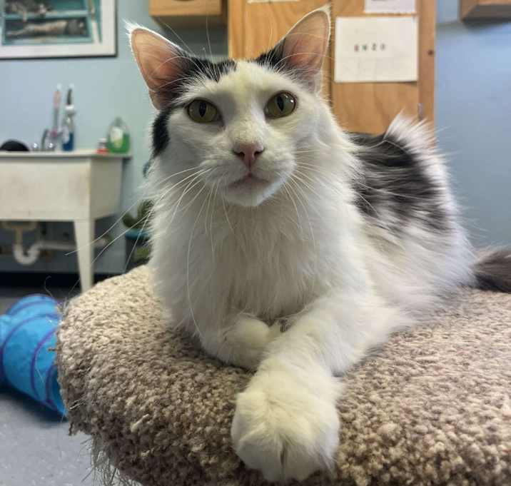 Photo of Graspy