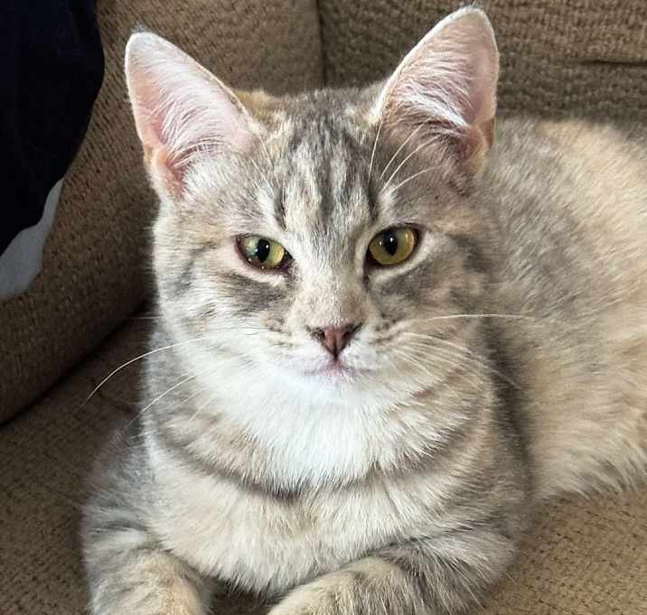 Photo of Rosalie