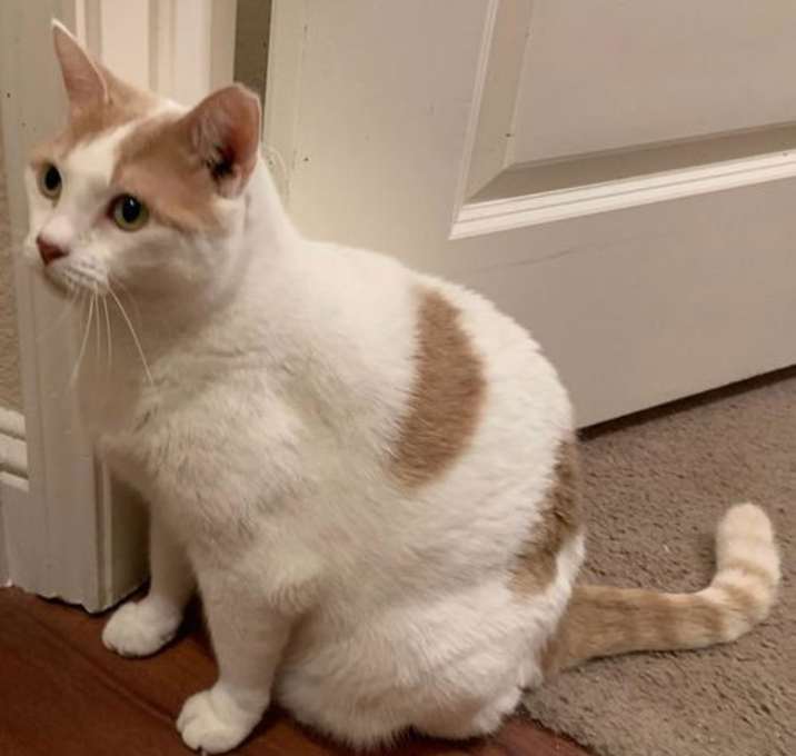 Photo of Pretty Girl