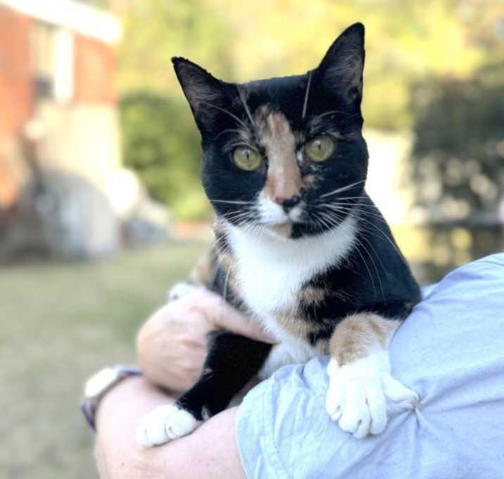 Photo of Coco
