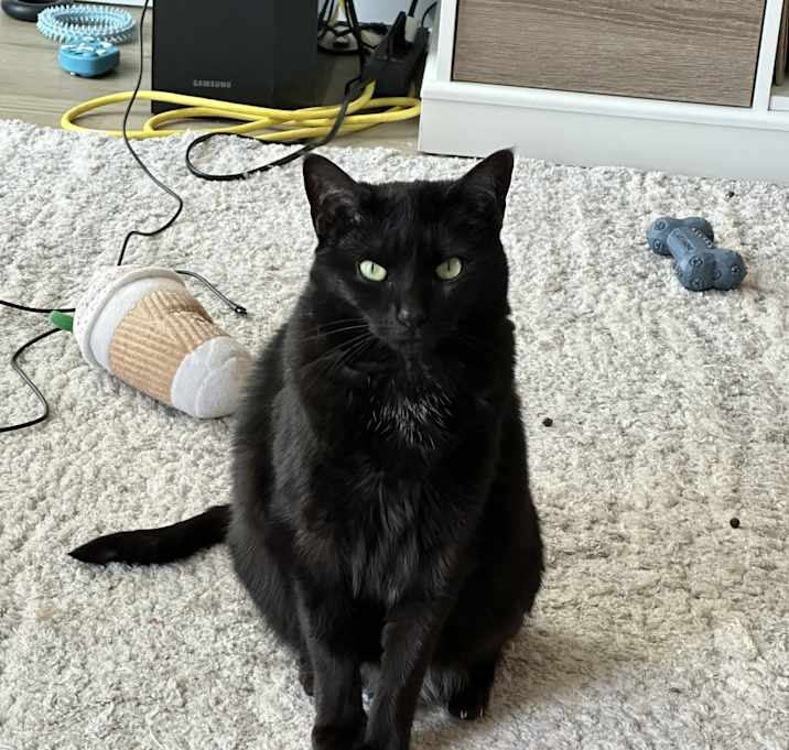 Photo of Jasmine