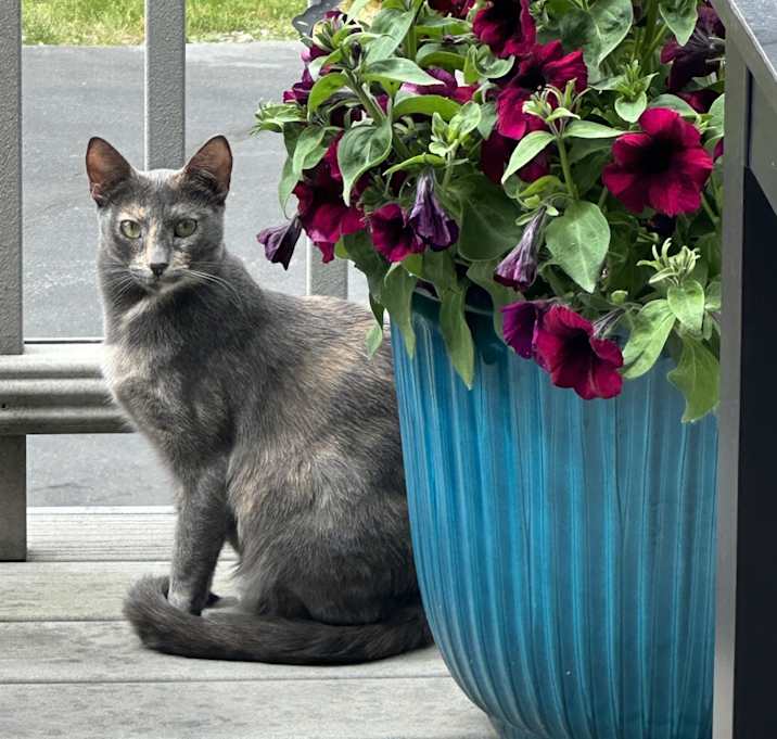 Photo of Tina