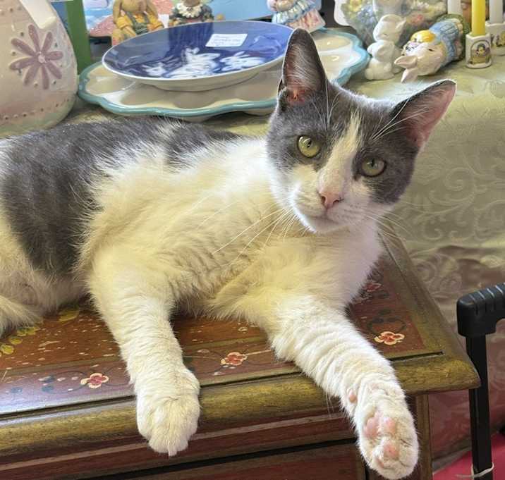 Photo of Twilda