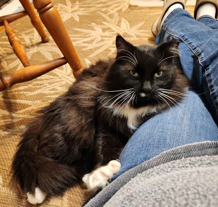 Photo of Niles