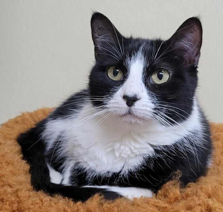 Photo of Angela