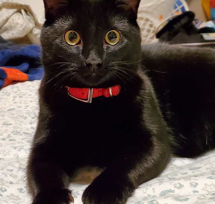 Photo of Milly