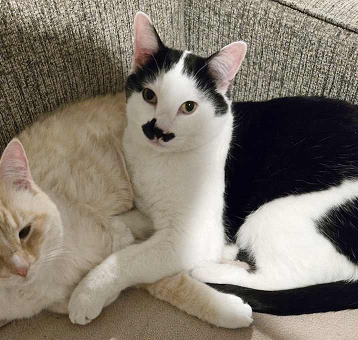 Photo of Penny & Charlie