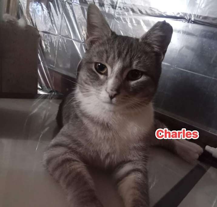 Photo of Charles