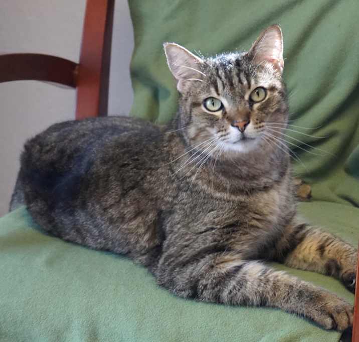 Photo of Buddy