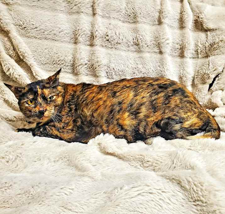 Photo of Tiffani