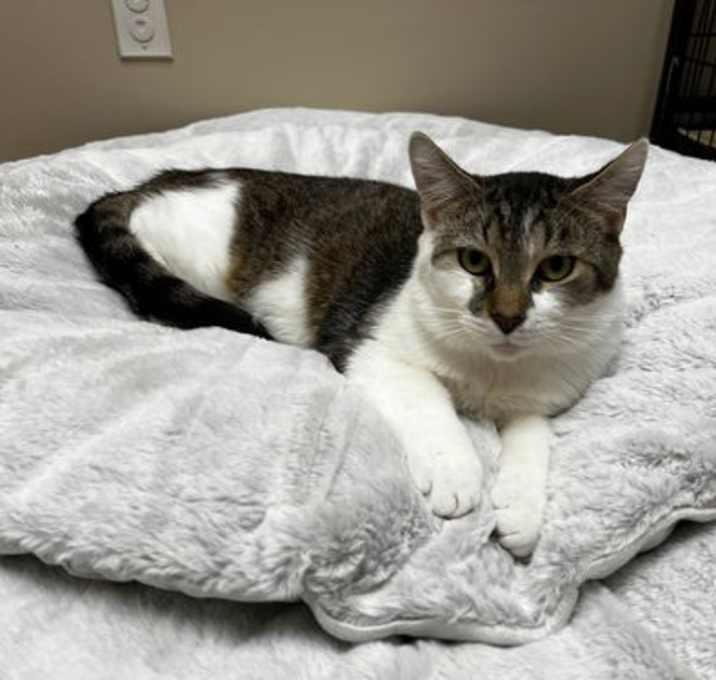 Photo of Jelly