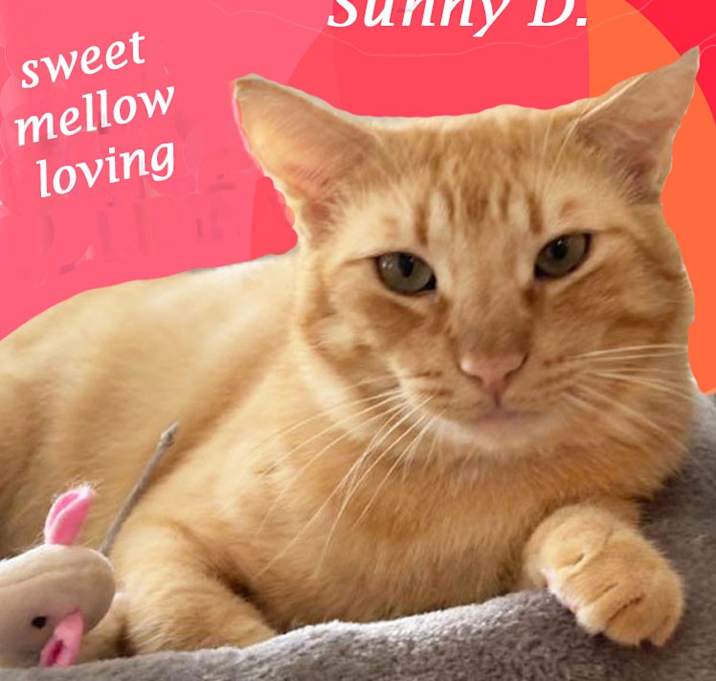Photo of SUNNY D.