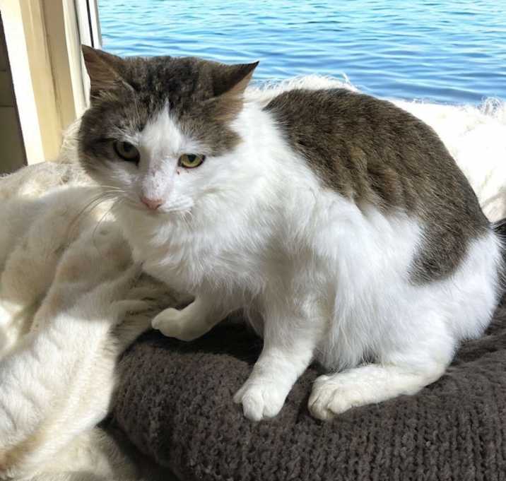 Photo of Lillie