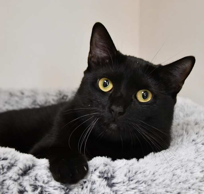 Photo of Mona