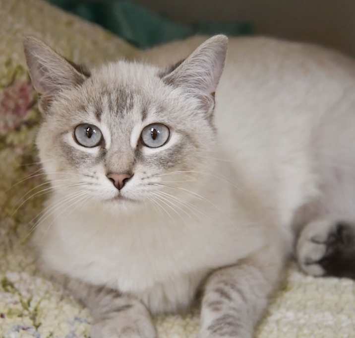 Photo of Bubbles