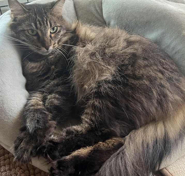 Photo of Mama Tabitha