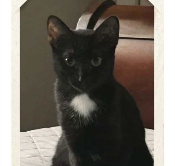 Photo of Tina