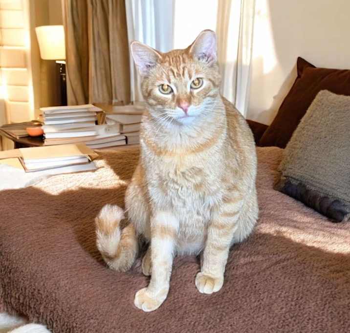 Photo of Chunker