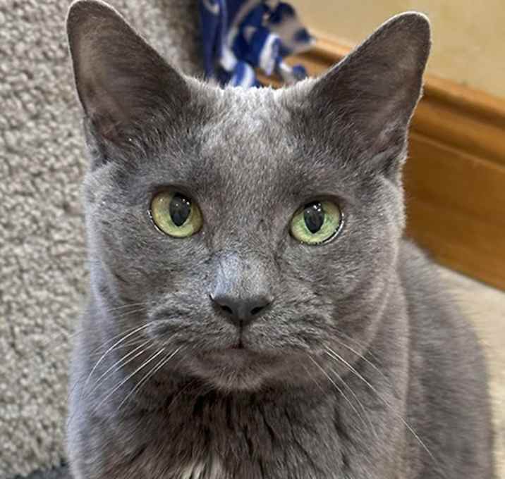 Photo of Leonard