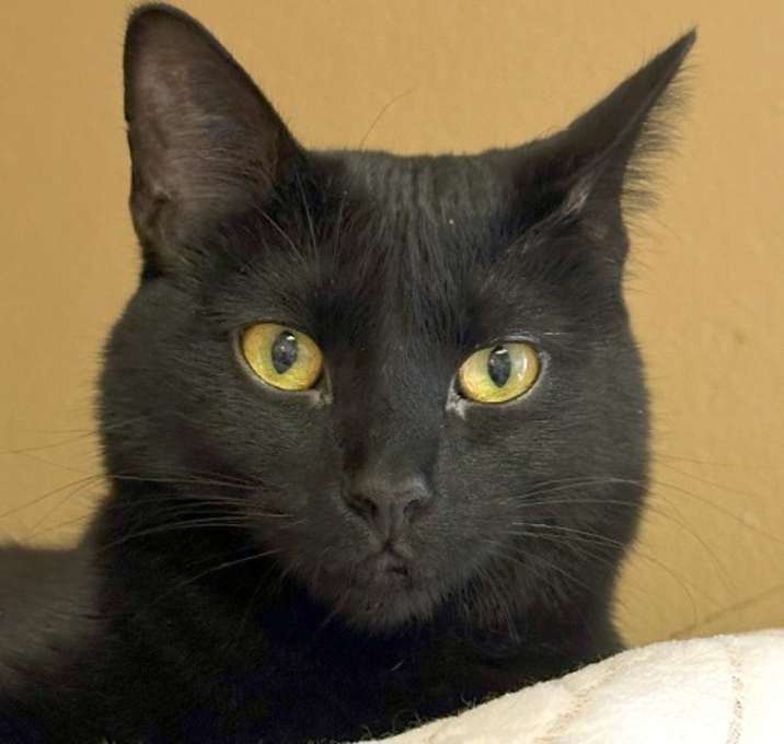 Photo of Reggie