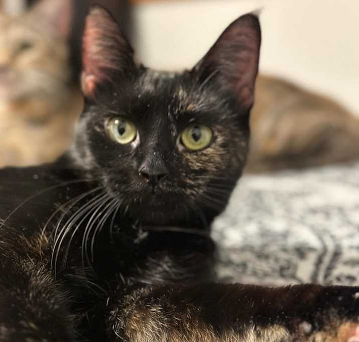 Photo of Astrid