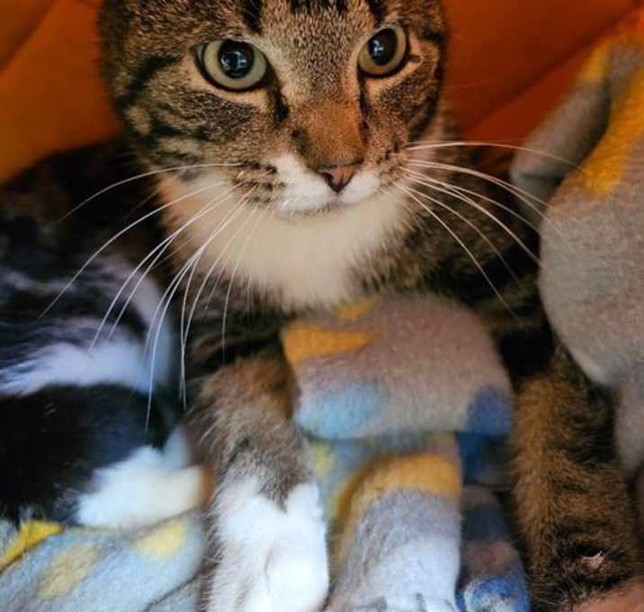 Photo of Aleister