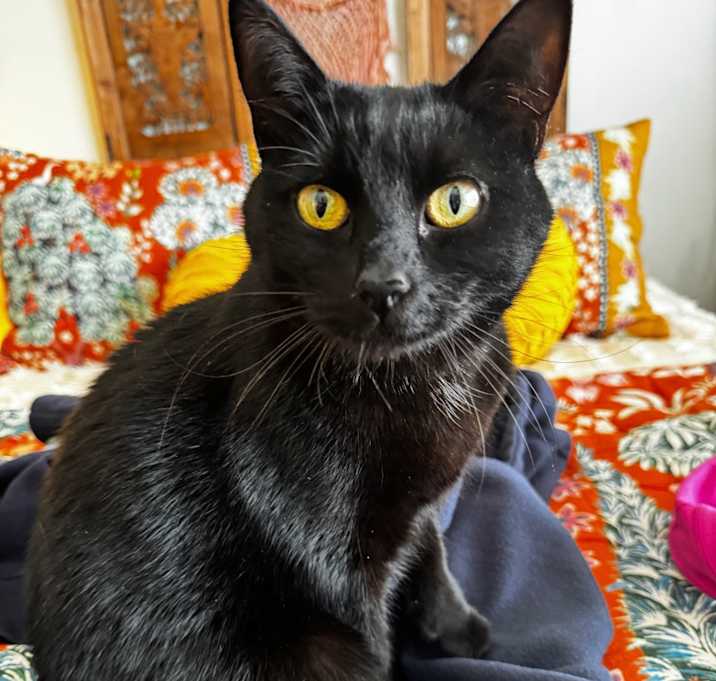 Photo of Sasha