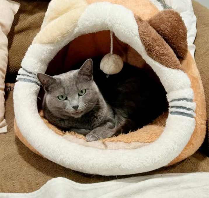 Photo of Sweetie