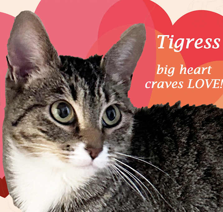 Photo of TIGRESS